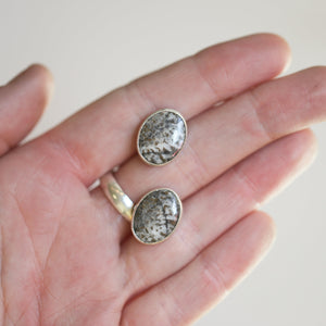 May include: Two oval-shaped earrings with silver settings and a gray and white stone inlay.