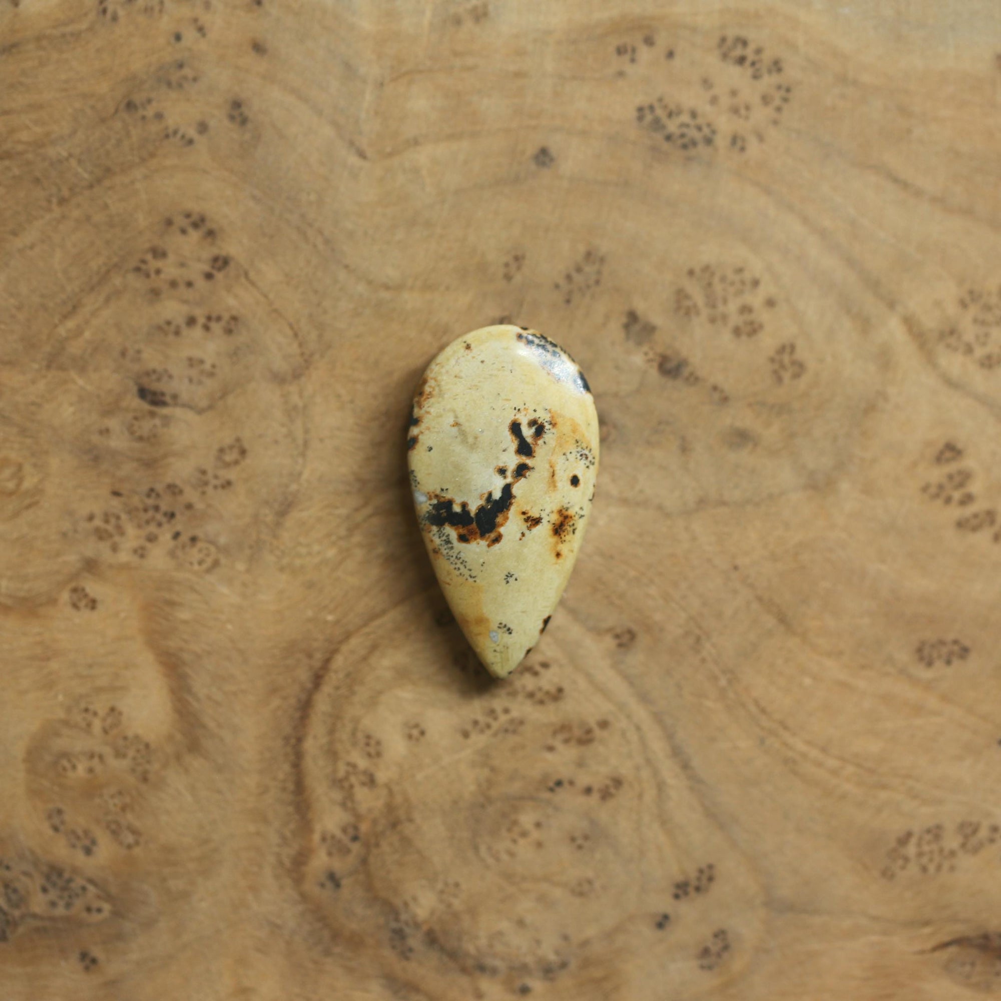 Paintbrush Jasper Pendant - Sterling Silver - Choose Your Stone