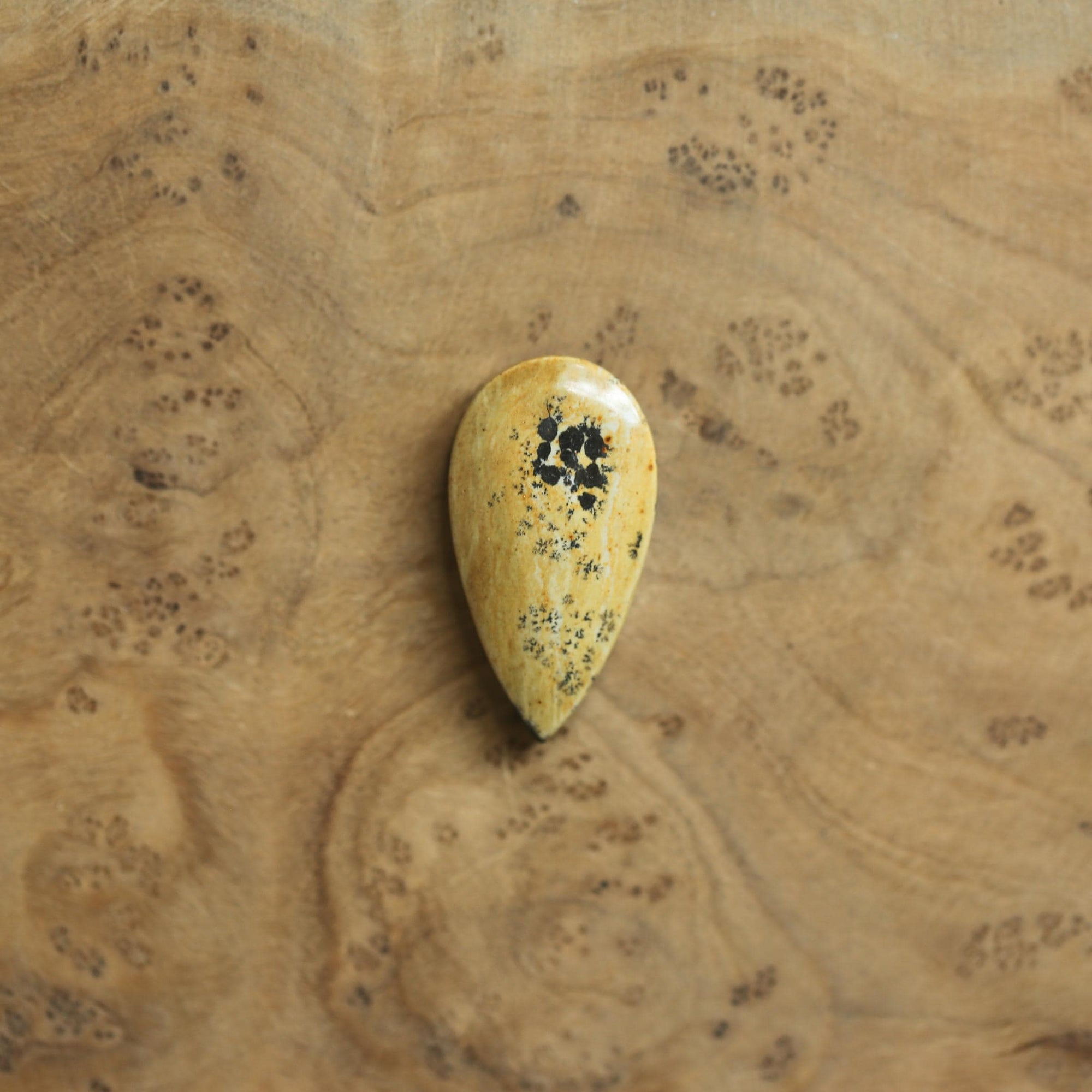 Paintbrush Jasper Pendant - Sterling Silver - Choose Your Stone