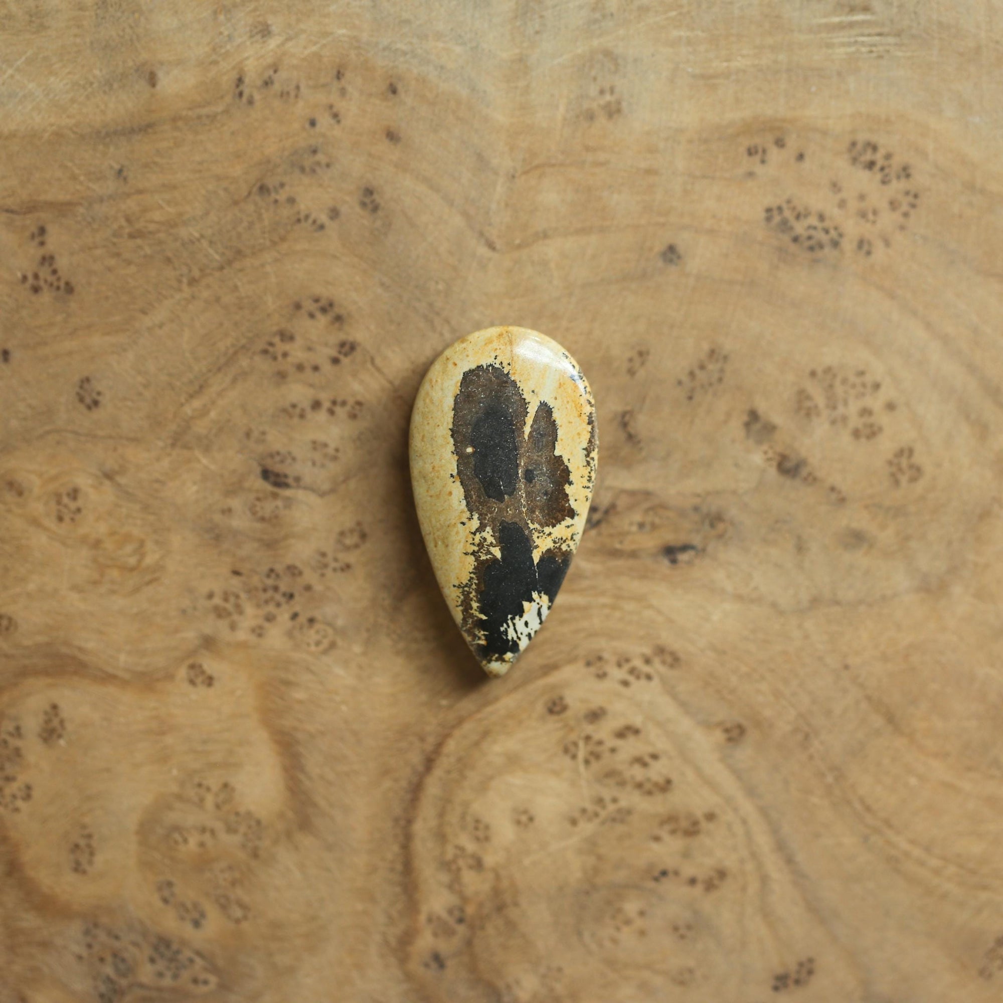 Paintbrush Jasper Pendant - Sterling Silver - Choose Your Stone