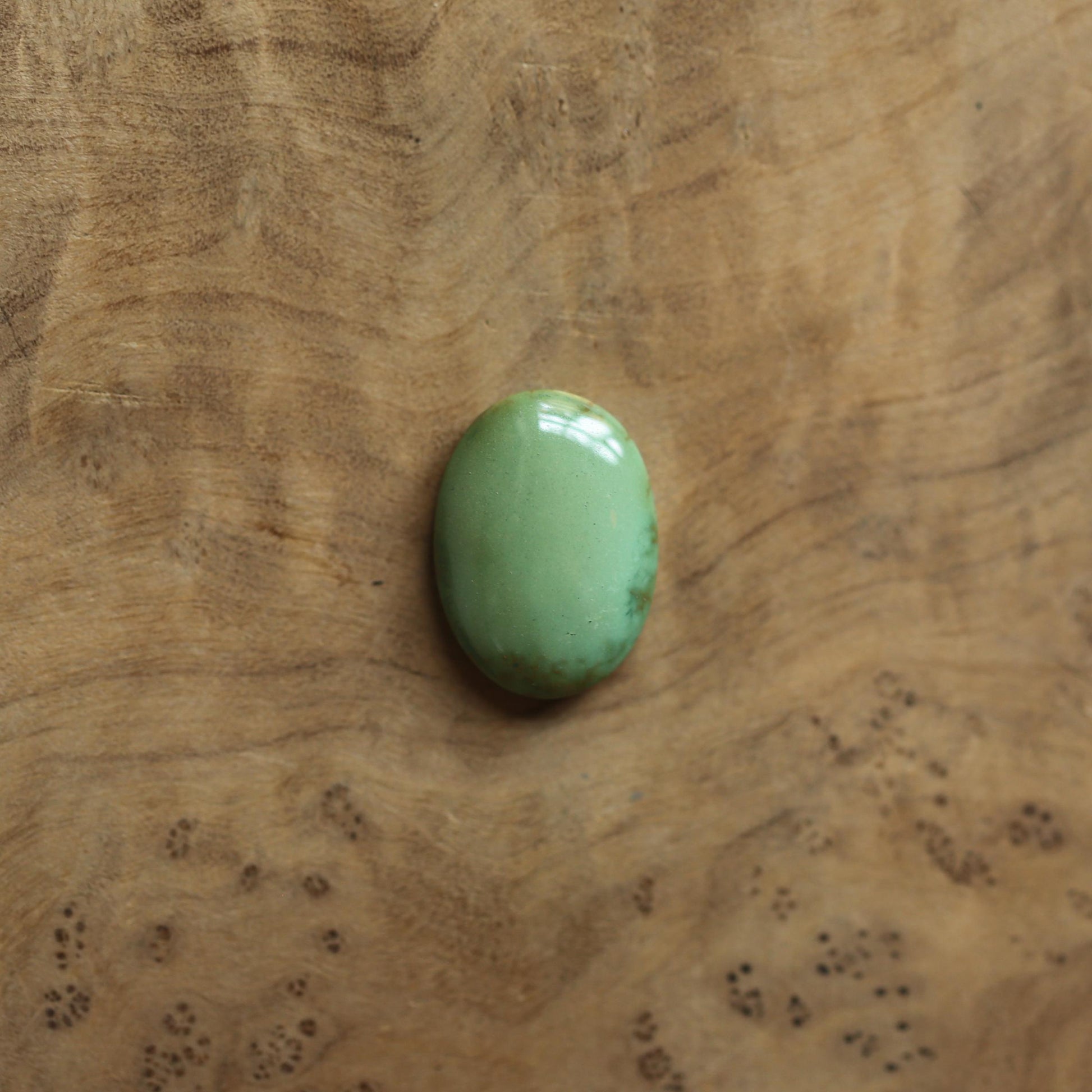 Turquoise Mock Bolo Necklace | Sterling Silver