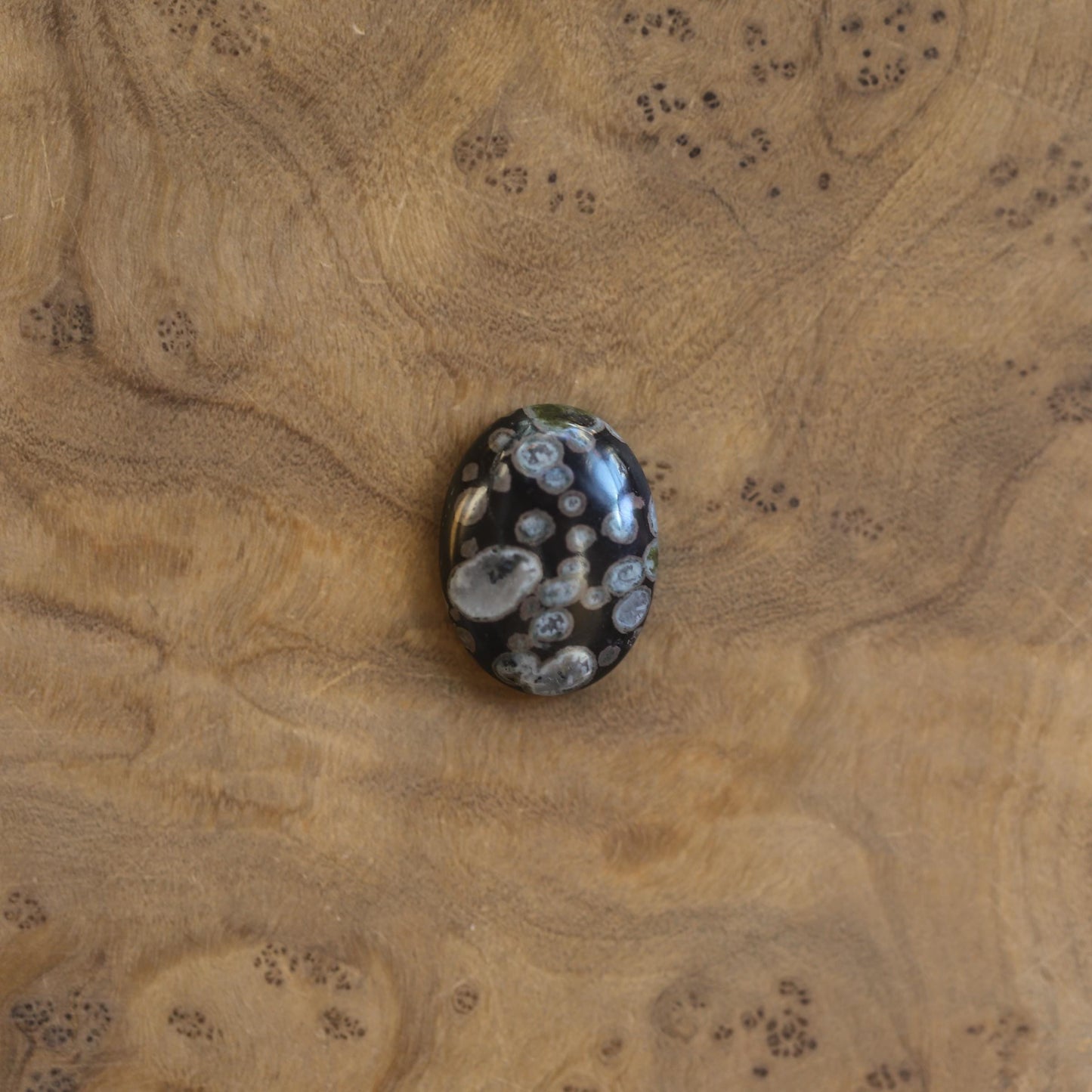 Boho Ring - Black Fossil Ring - Silversmith Ring - Boho Ring - Natural Fossil