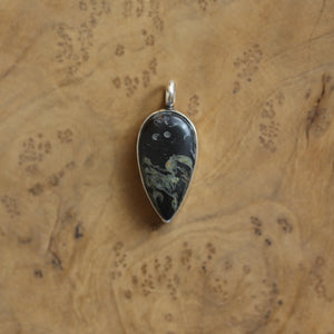Black Fossil Pendant - Choose Your Finished Pendant - Sterling Silver