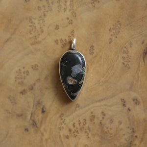 Black Fossil Pendant - Choose Your Finished Pendant - Sterling Silver