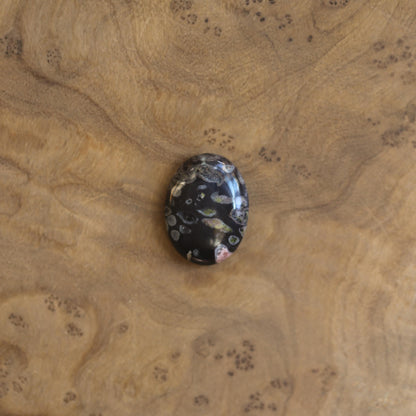 Boho Ring - Black Fossil Ring - Silversmith Ring - Boho Ring - Natural Fossil