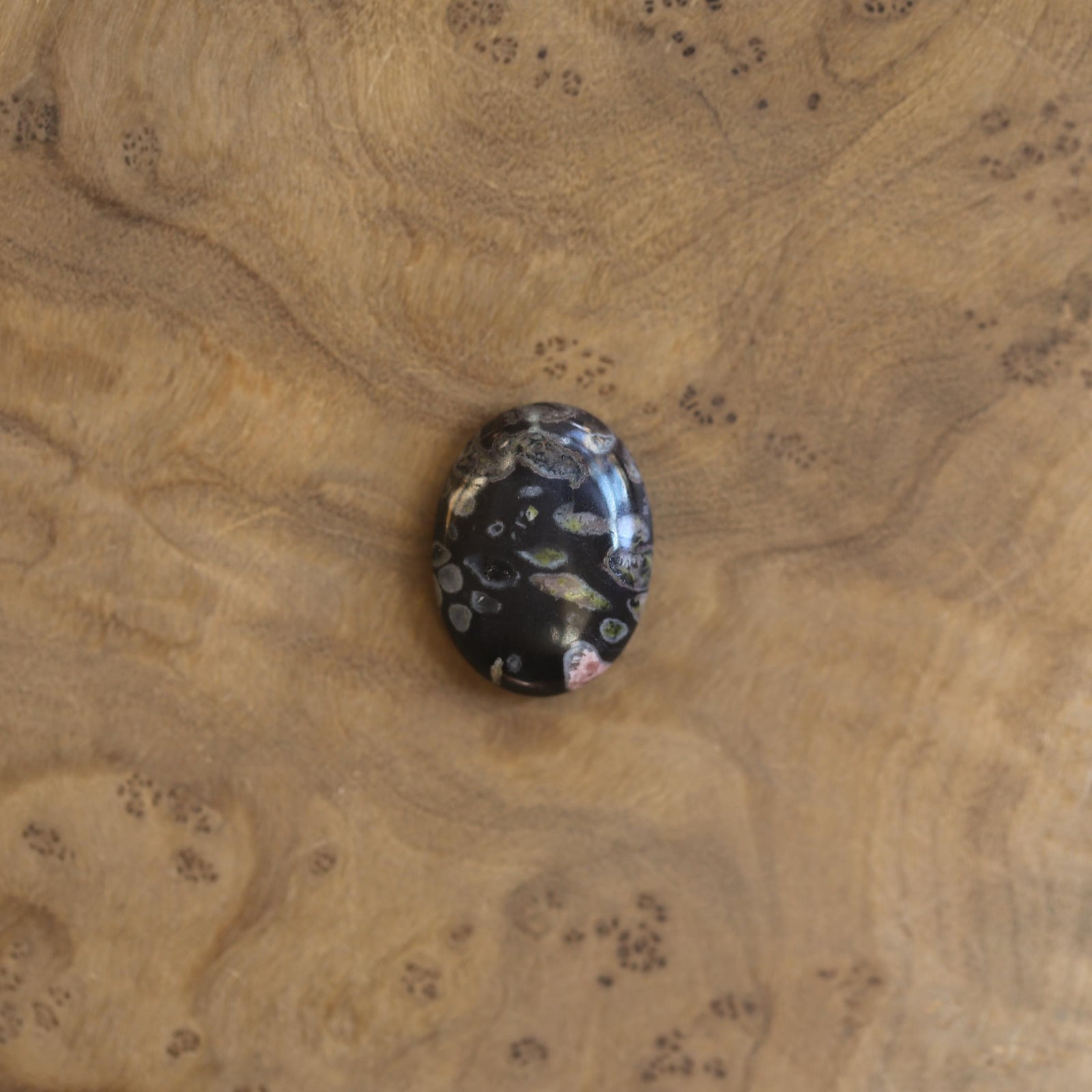 Boho Ring - Black Fossil Ring - Silversmith Ring - Boho Ring - Natural Fossil