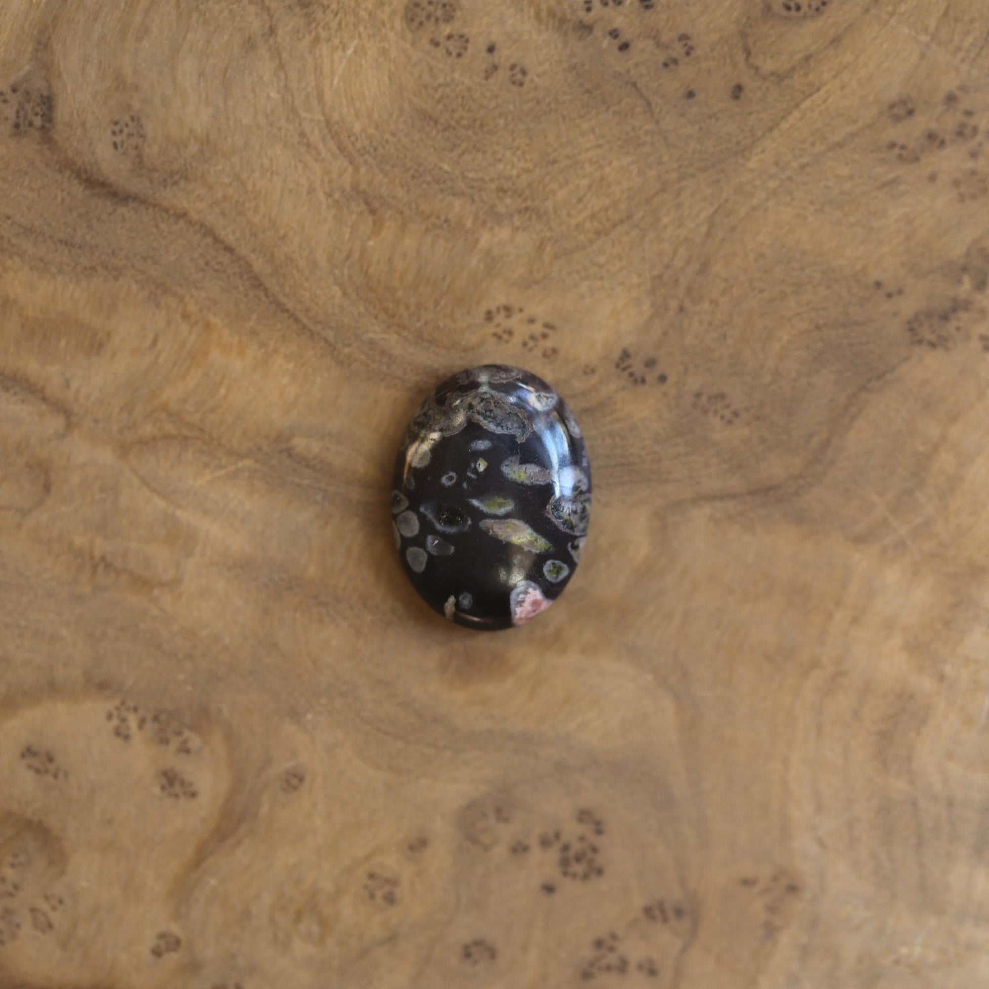 Boho Ring - Black Fossil Ring - Silversmith Ring - Boho Ring - Natural Fossil