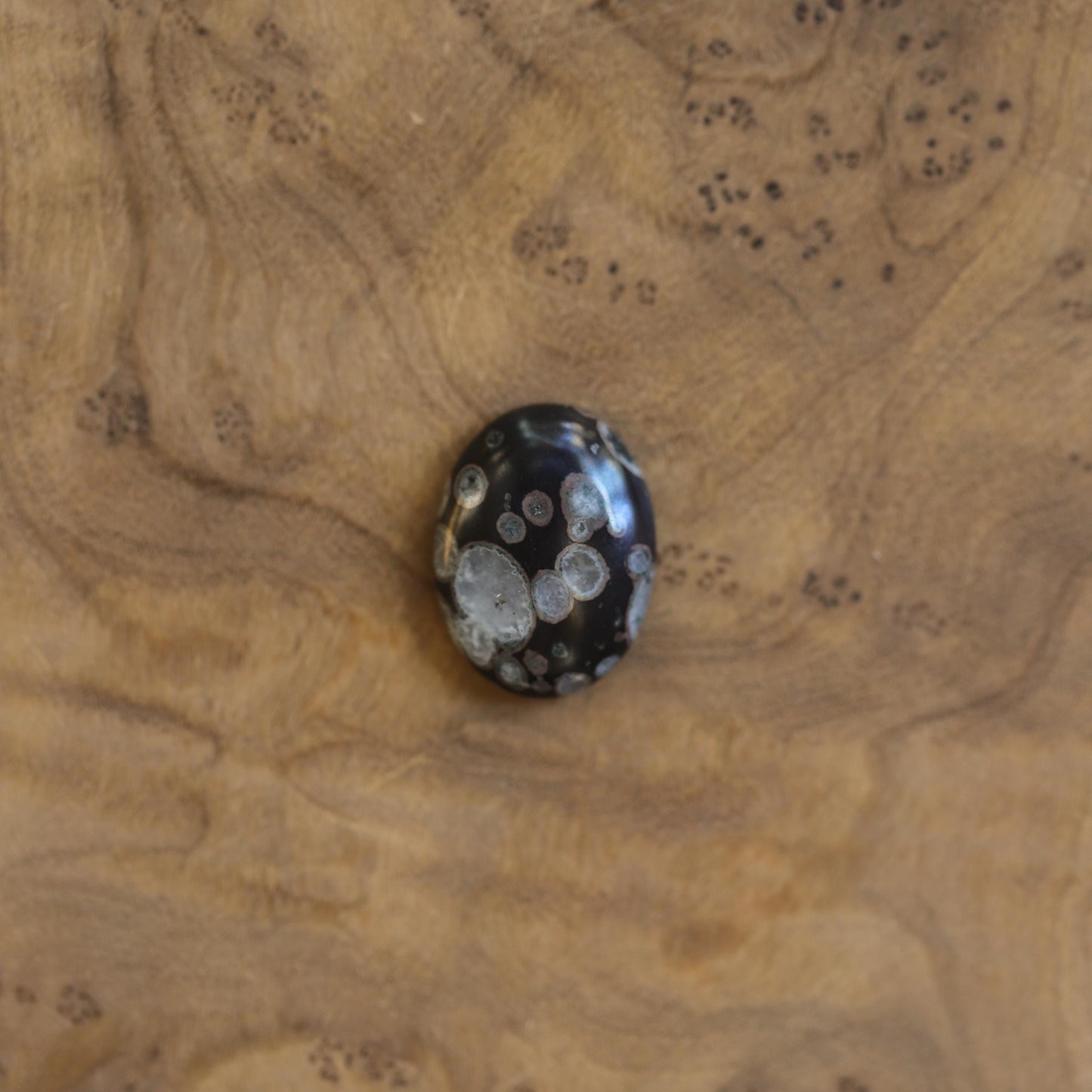 Boho Ring - Black Fossil Ring - Silversmith Ring - Boho Ring - Natural Fossil