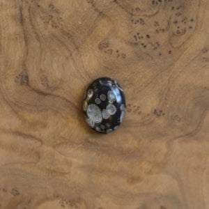 Boho Ring - Black Fossil Ring - Silversmith Ring - Boho Ring - Natural Fossil