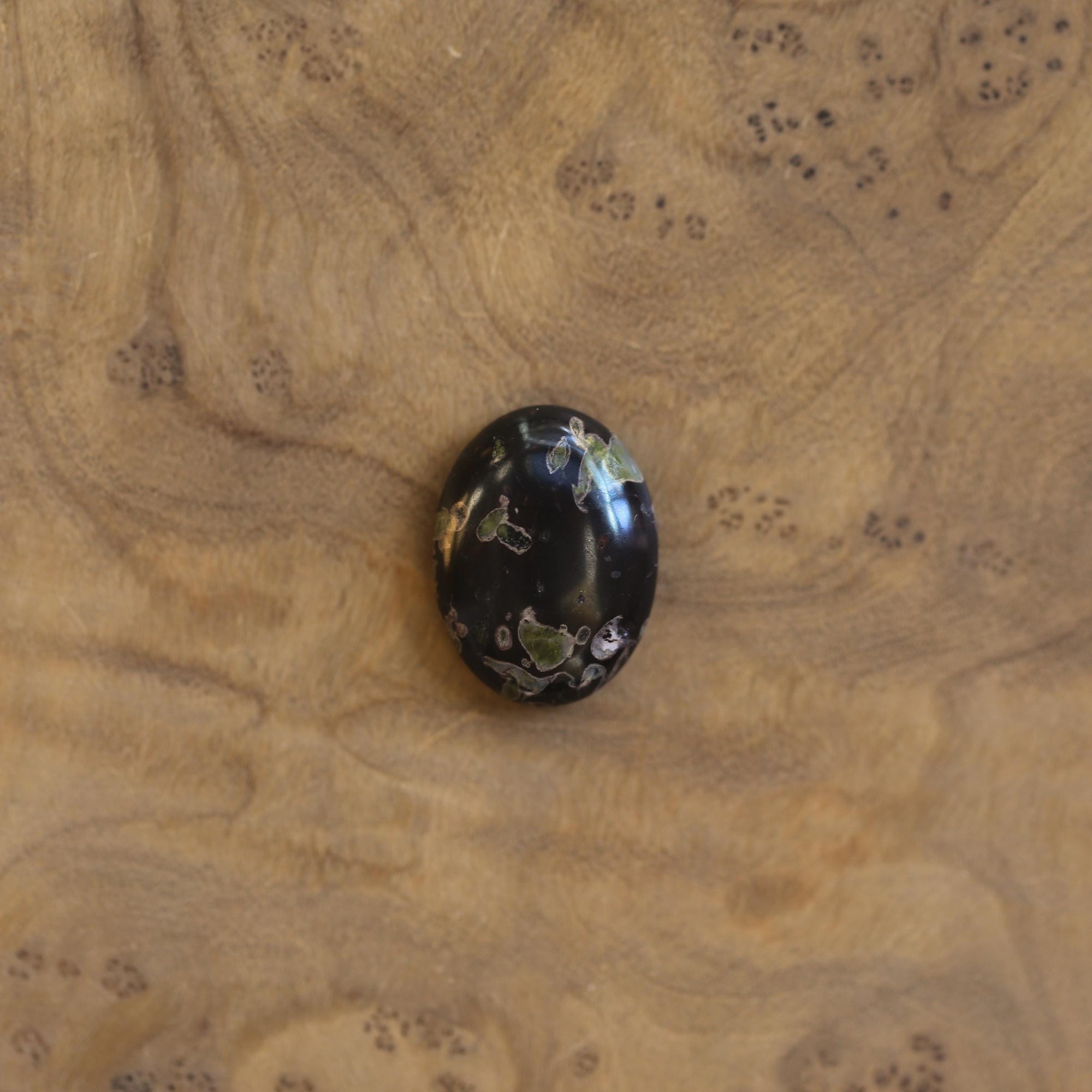 Boho Ring - Black Fossil Ring - Silversmith Ring - Boho Ring - Natural Fossil