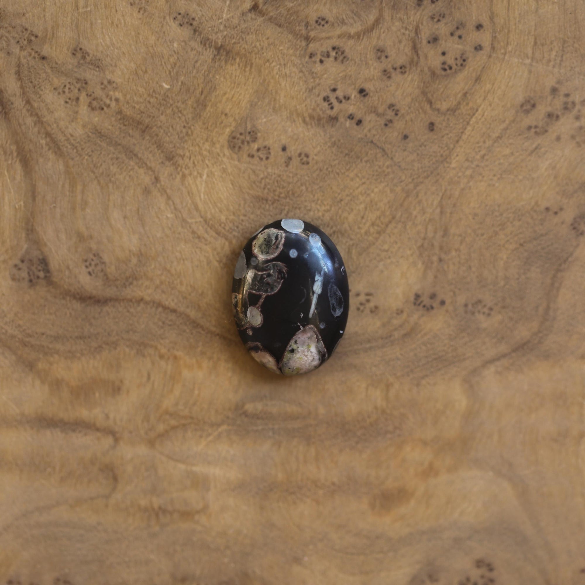 Boho Ring - Black Fossil Ring - Silversmith Ring - Boho Ring - Natural Fossil