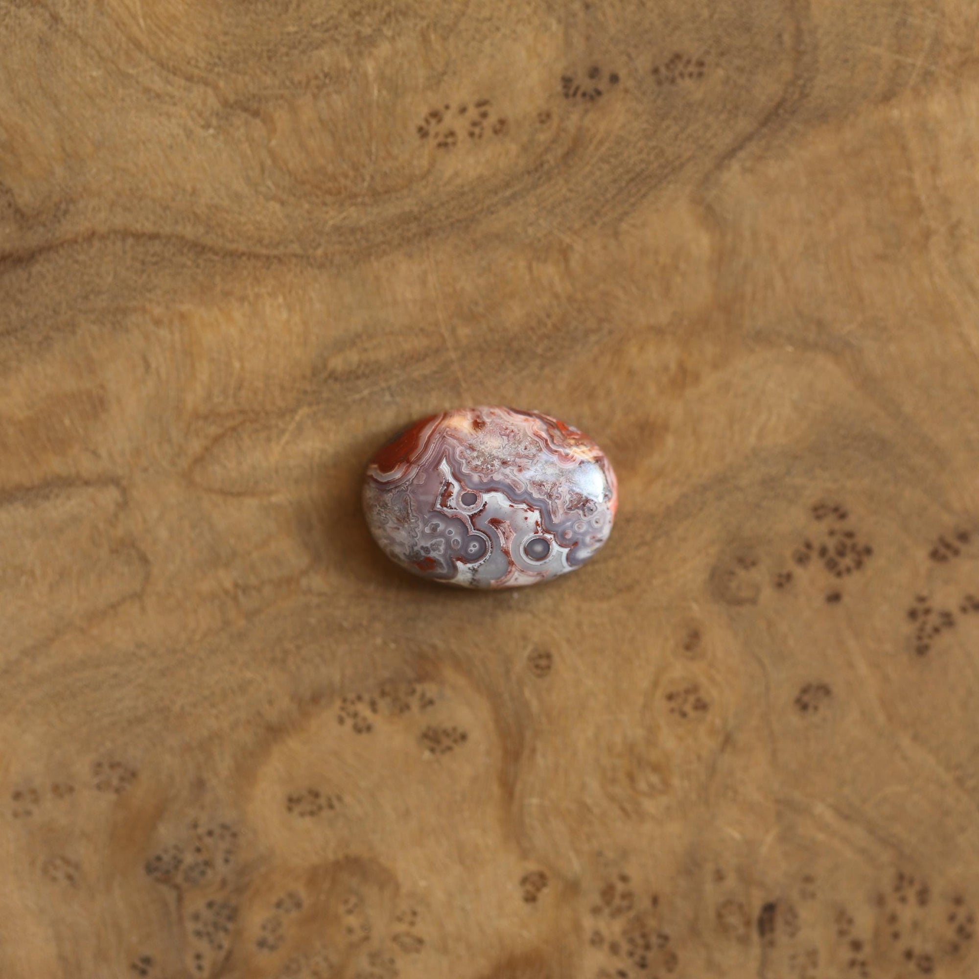 Crazy Lace Agate Pendant - Silversmith - .925 Sterling Silver - Crazy Lace Agate Necklace