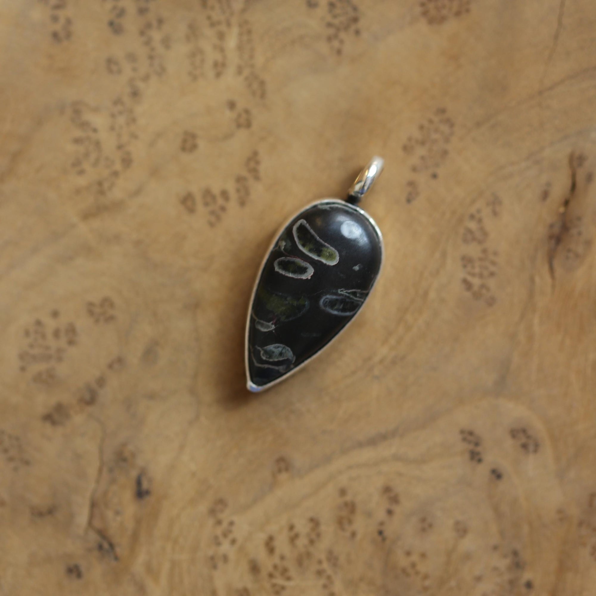Black Fossil Pendant - Choose Your Finished Pendant - Sterling Silver