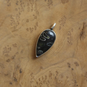 Black Fossil Pendant - Choose Your Finished Pendant - Sterling Silver