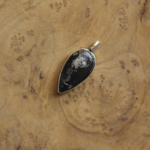 Black Fossil Pendant - Choose Your Finished Pendant - Sterling Silver