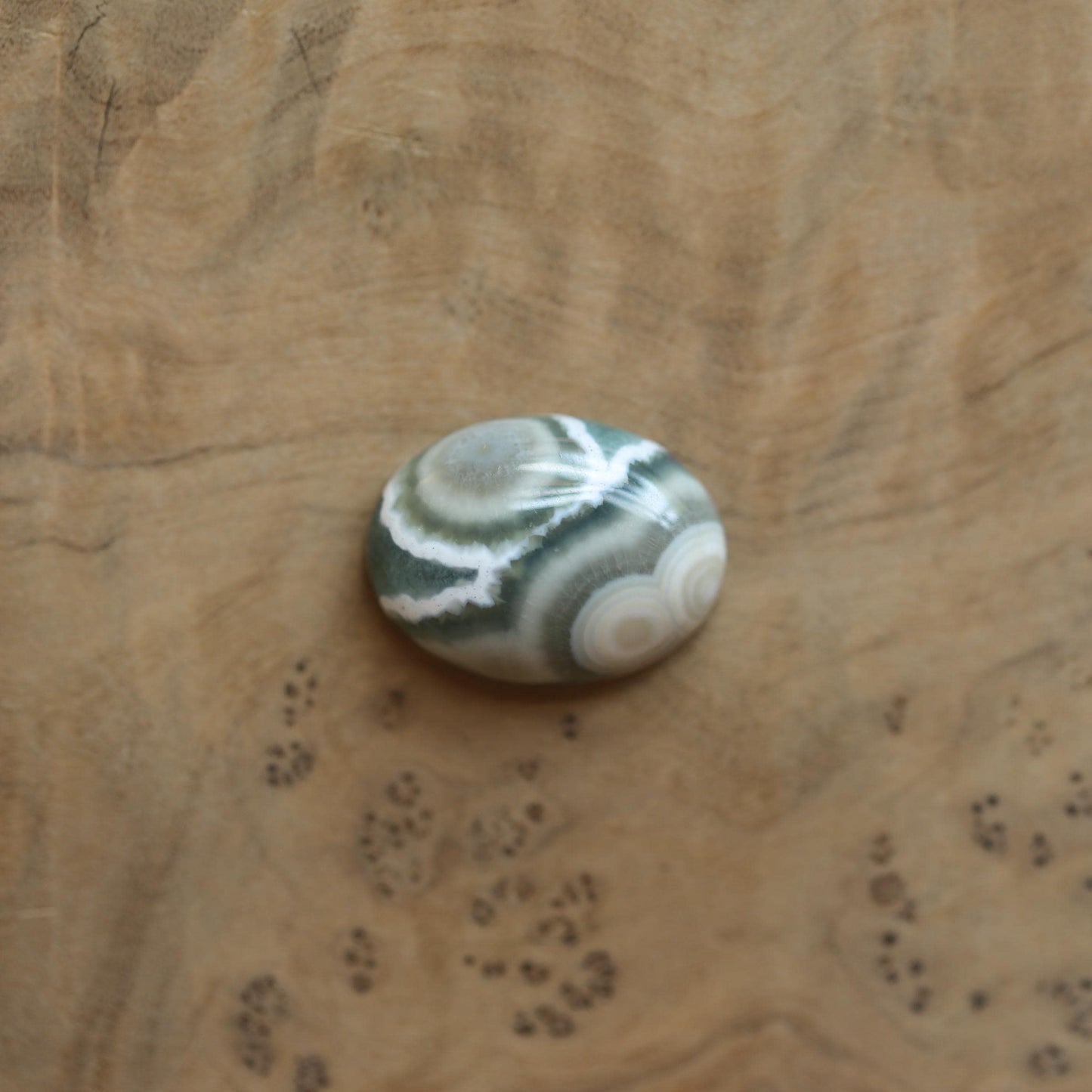 Custom Ocean Jasper East West Oval Ring - .925 Sterling Silver - Unisex - Men's Ring