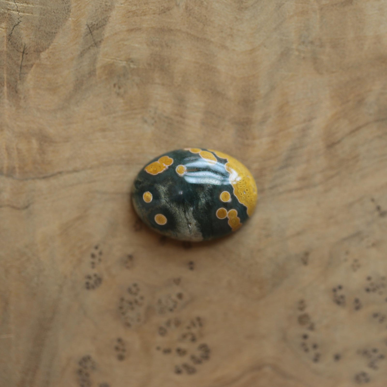 Custom Ocean Jasper East West Oval Ring - .925 Sterling Silver - Unisex - Men's Ring