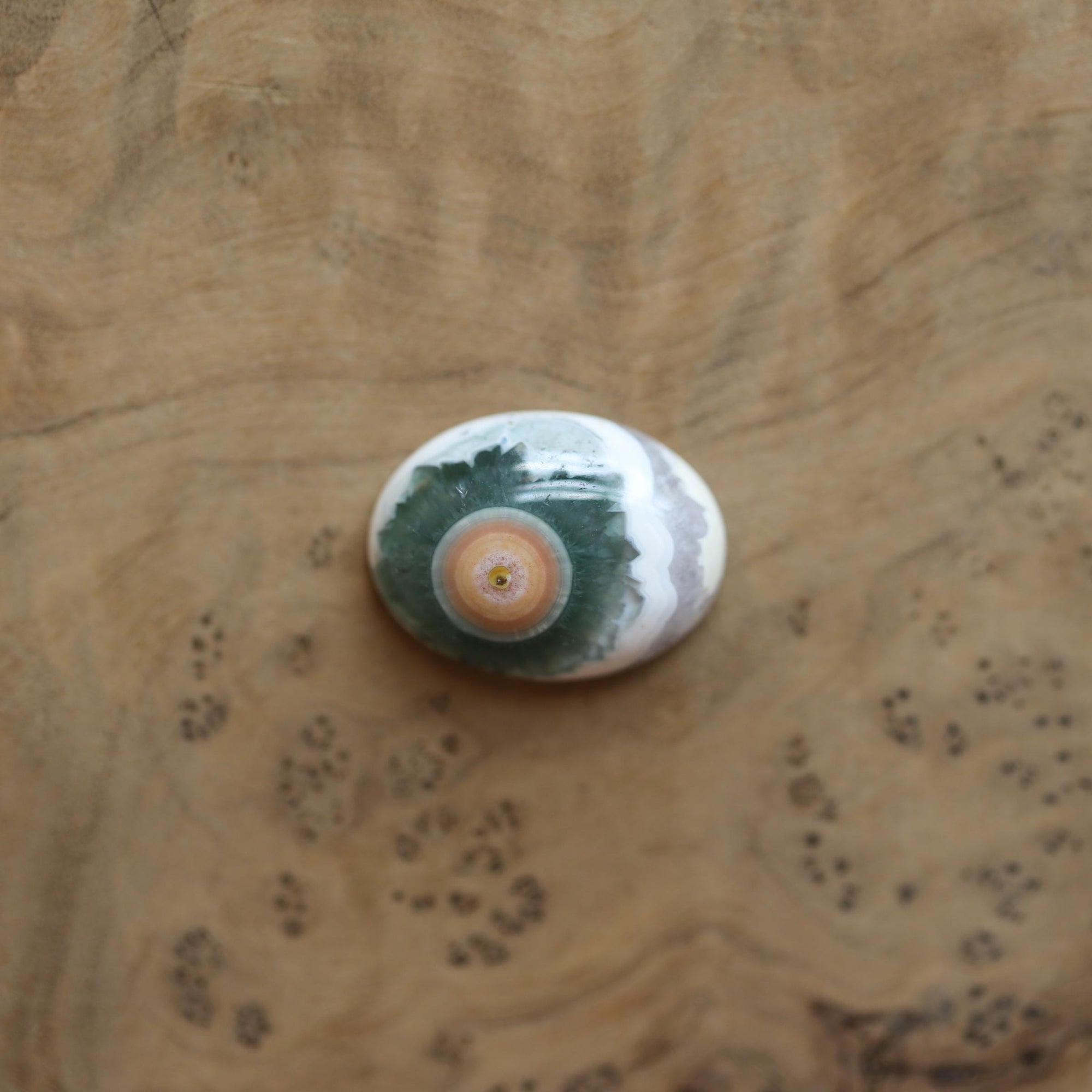 Custom Ocean Jasper East West Oval Ring - .925 Sterling Silver - Unisex - Men's Ring