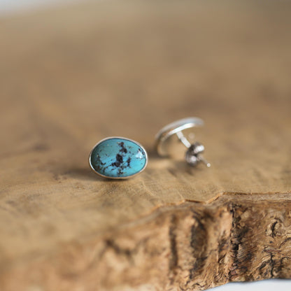 Campitos Turquoise Post Earrings – American Sterling Silver Studs