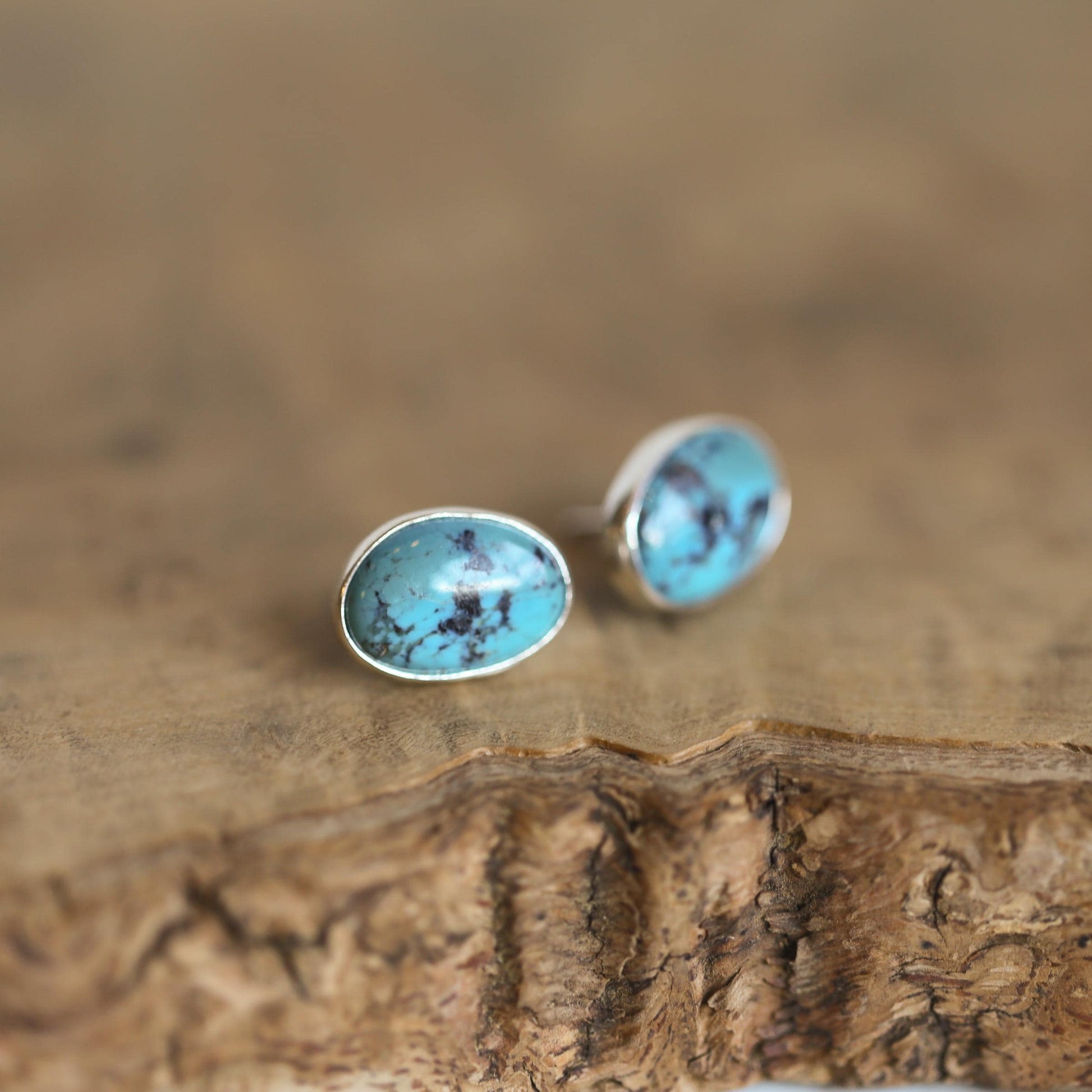 Campitos Turquoise Post Earrings – American Sterling Silver Studs