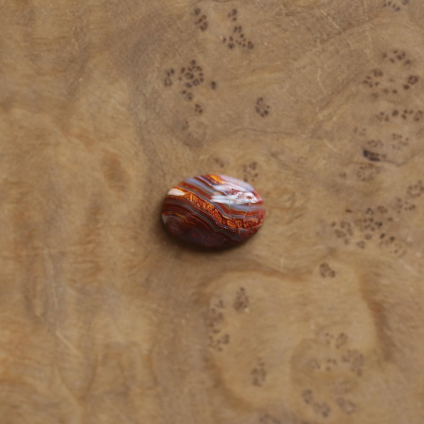 Laguna Lace Agate Ring - .925 Sterling Silver - East West Oval Ring - Choose Your Stone
