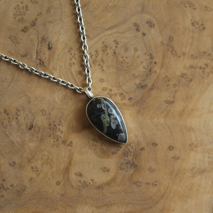 Fossil Jasper Charm Pendant - Sterling Silver - Choose your Pendant