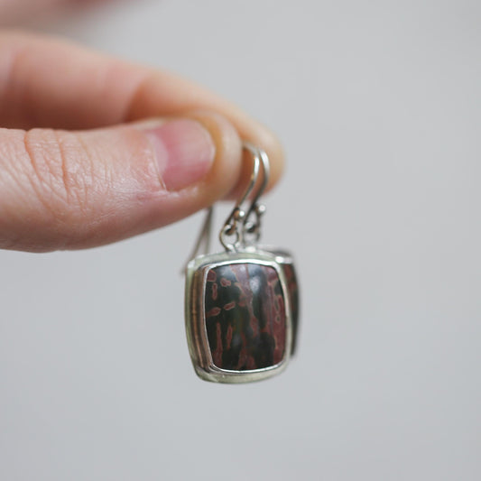 May include: A pair of silver earrings with a rectangular shaped stone set in the center. The stone is a dark brown color with a mottled pattern.