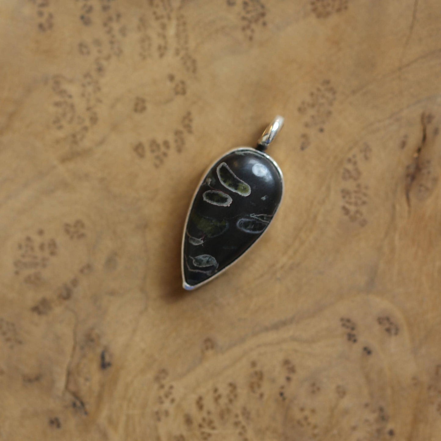 Fossil Jasper Charm Pendant - Sterling Silver - Choose your Pendant
