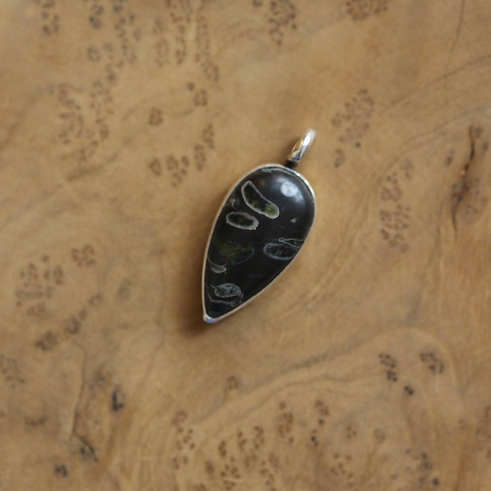 Fossil Jasper Charm Pendant - Sterling Silver - Choose your Pendant