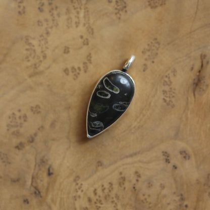 Fossil Jasper Charm Pendant - Sterling Silver - Choose your Pendant