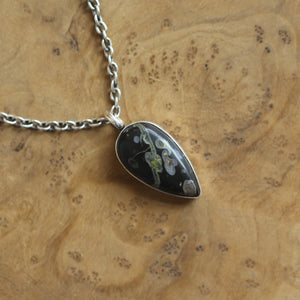 Fossil Jasper Charm Pendant - Sterling Silver - Choose your Pendant