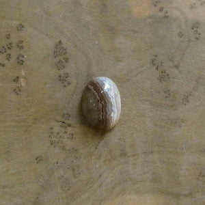 Custom Laguna Lace Agate Ring - .925 Sterling Silver - Choose Your Stone - Lasso Ring