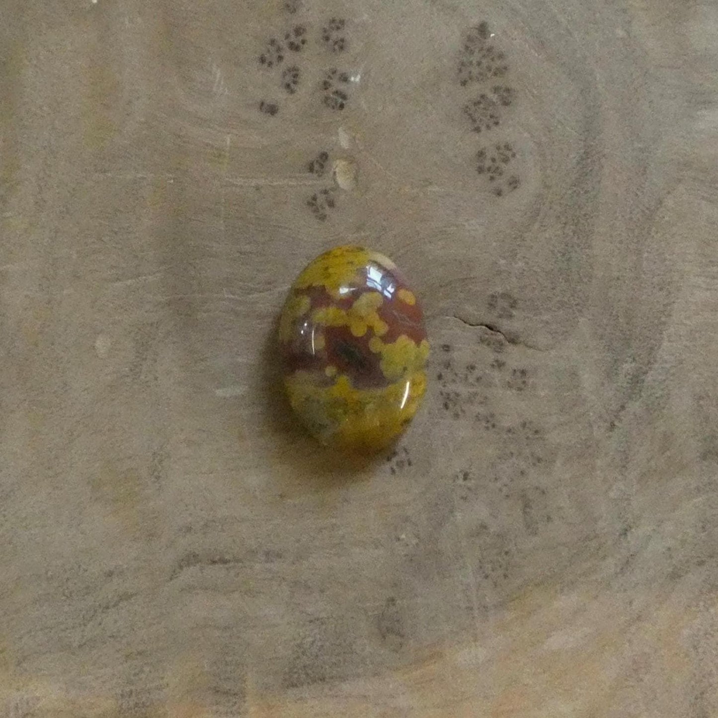 Custom Ocean Jasper Ring - Choose your stone - 14K Gold Prongs - Silversmith