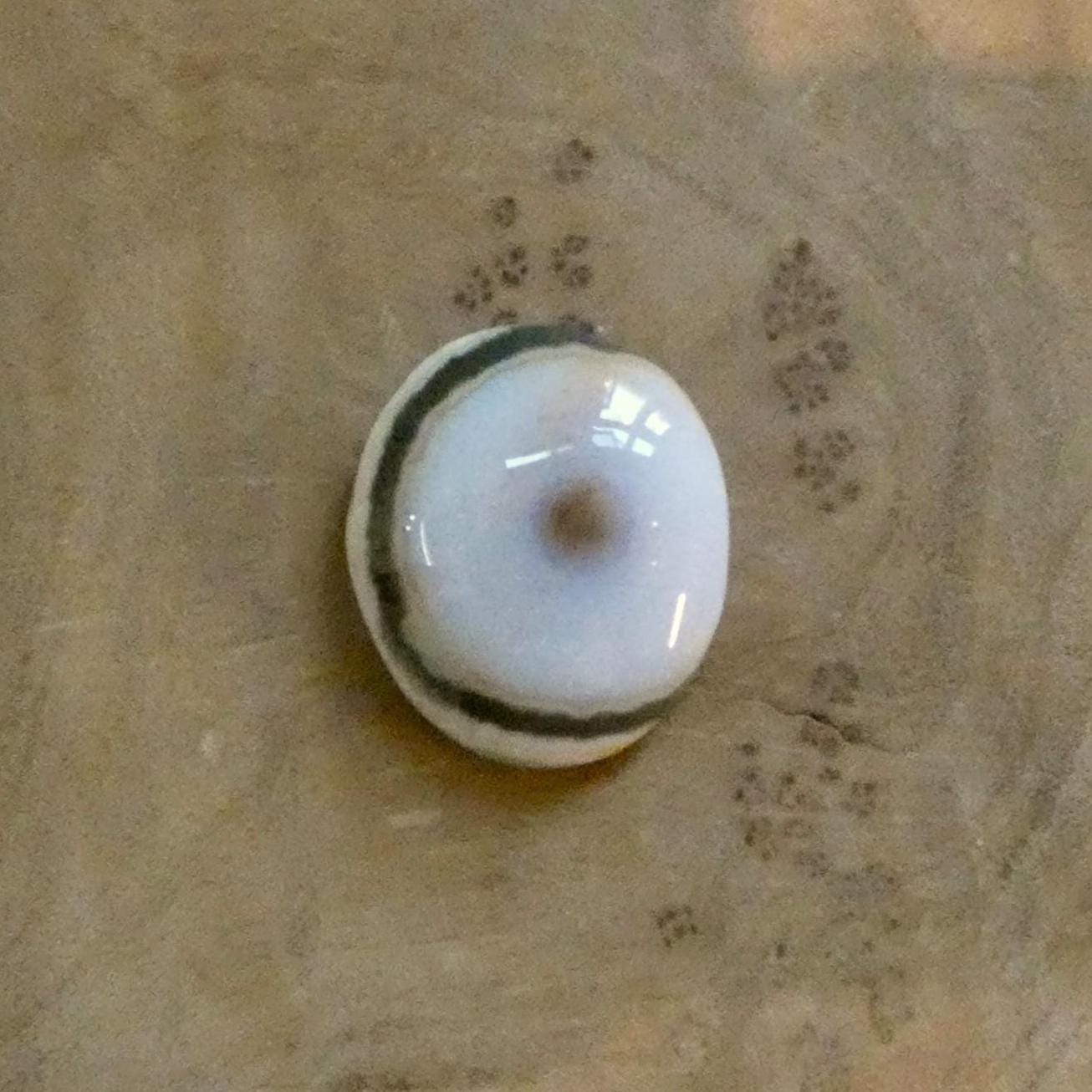 Custom Chunky Ocean Jasper Ring - Choose Your Stone - .925 Sterling Silver