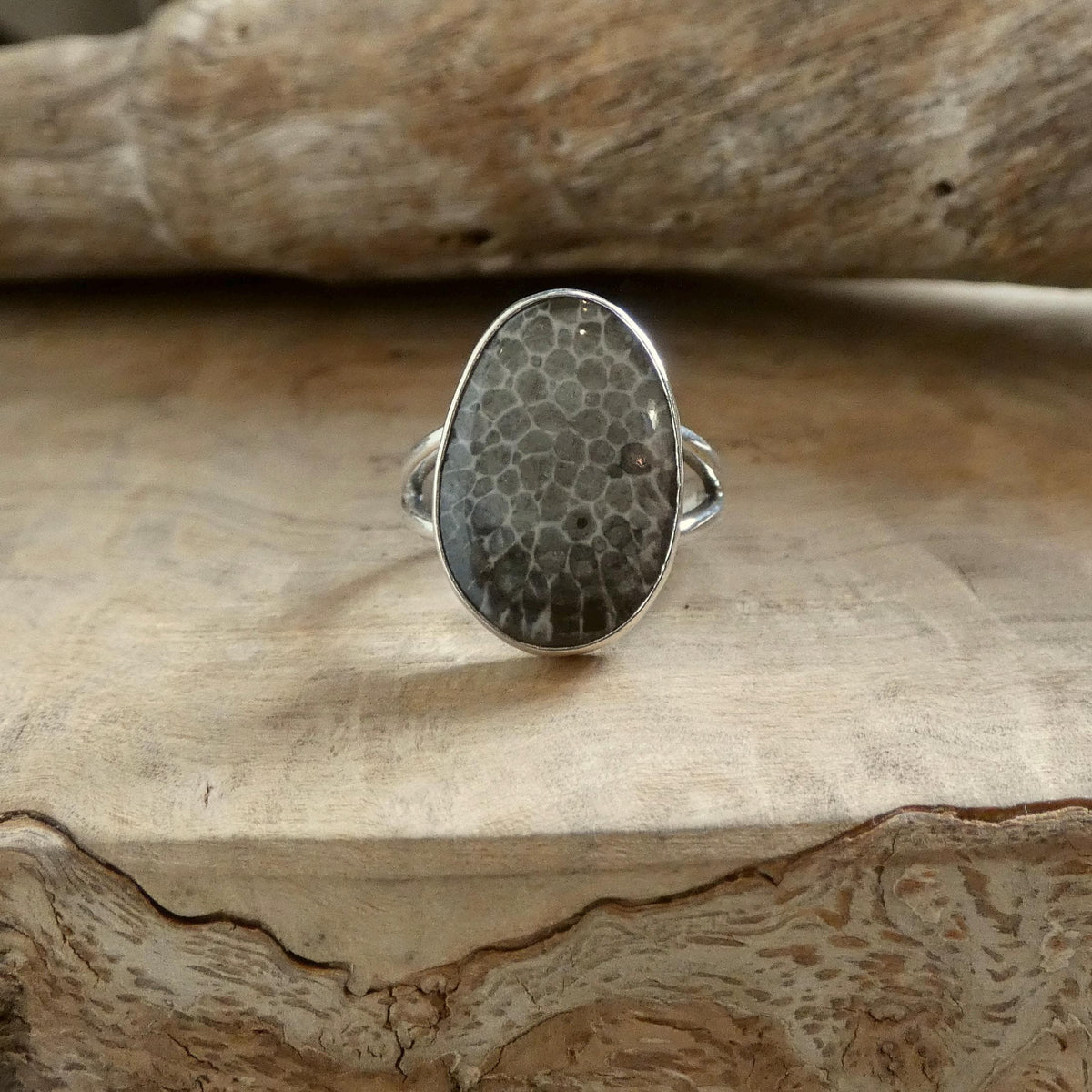 Black Fossil Ring | Sterling Silver