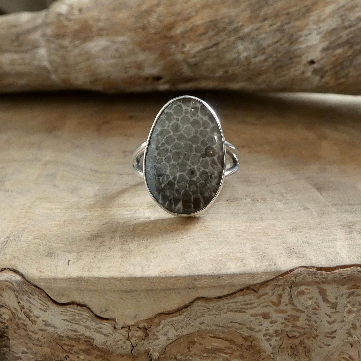 Choose Your Black Fossil Coral Ring - Sterling Silver Ring