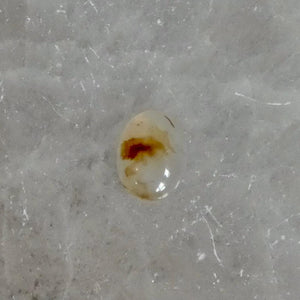 Custom Montana Agate Boho Ring - .925 Sterling Silver - Choose Your Stone