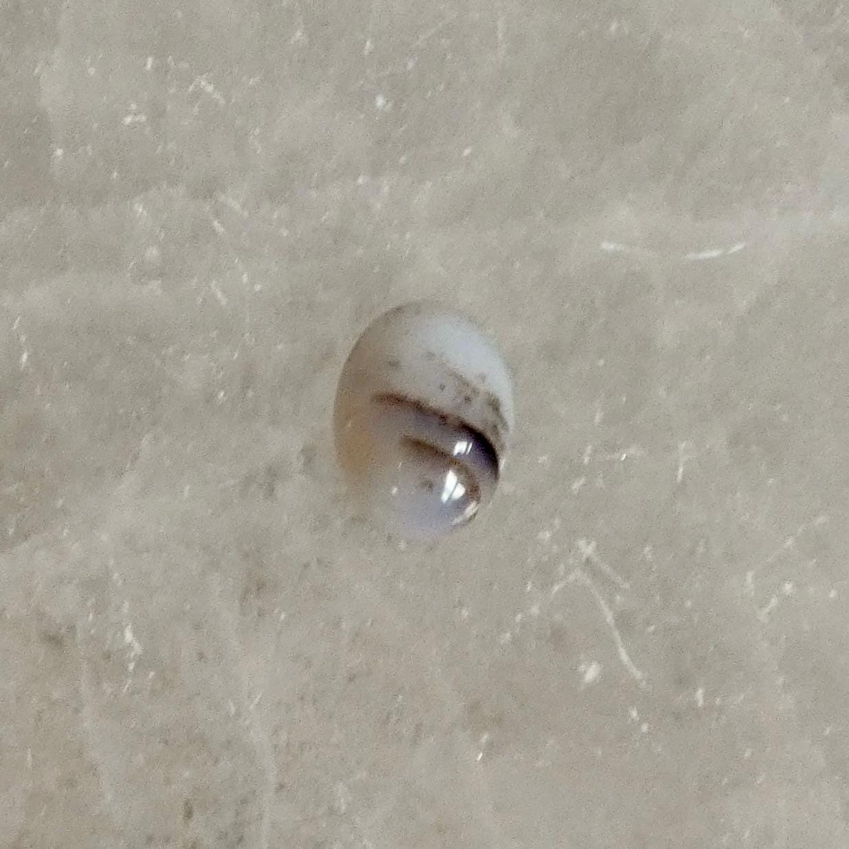 Custom Montana Agate Boho Ring - .925 Sterling Silver - Choose Your Stone