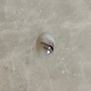 Custom Montana Agate Boho Ring - .925 Sterling Silver - Choose Your Stone