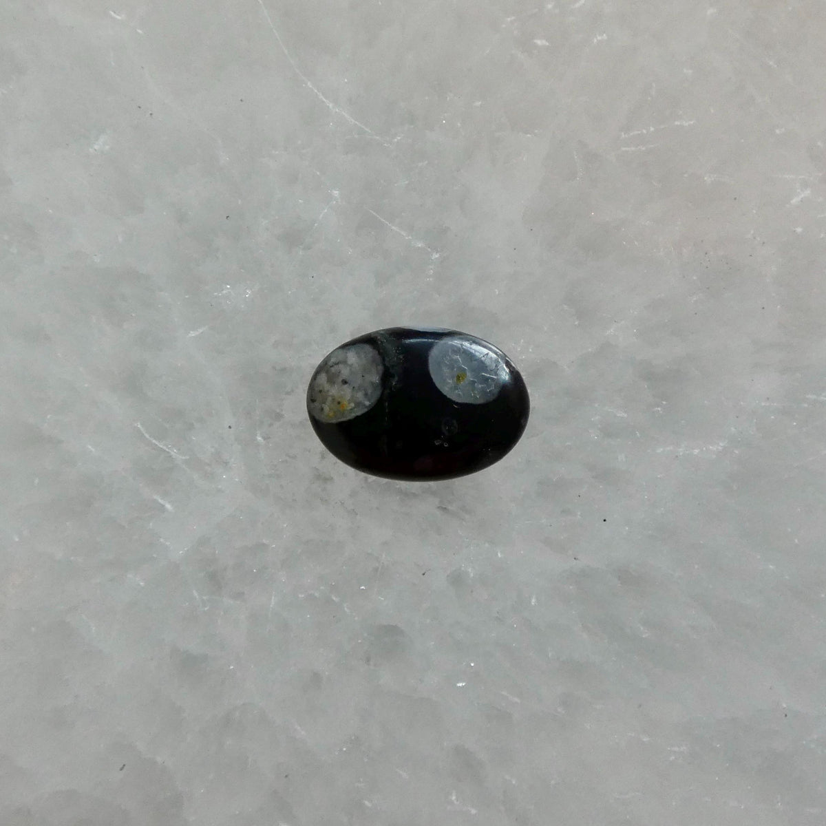 Fossil Jasper East West Oval Ring | Sterling Silver