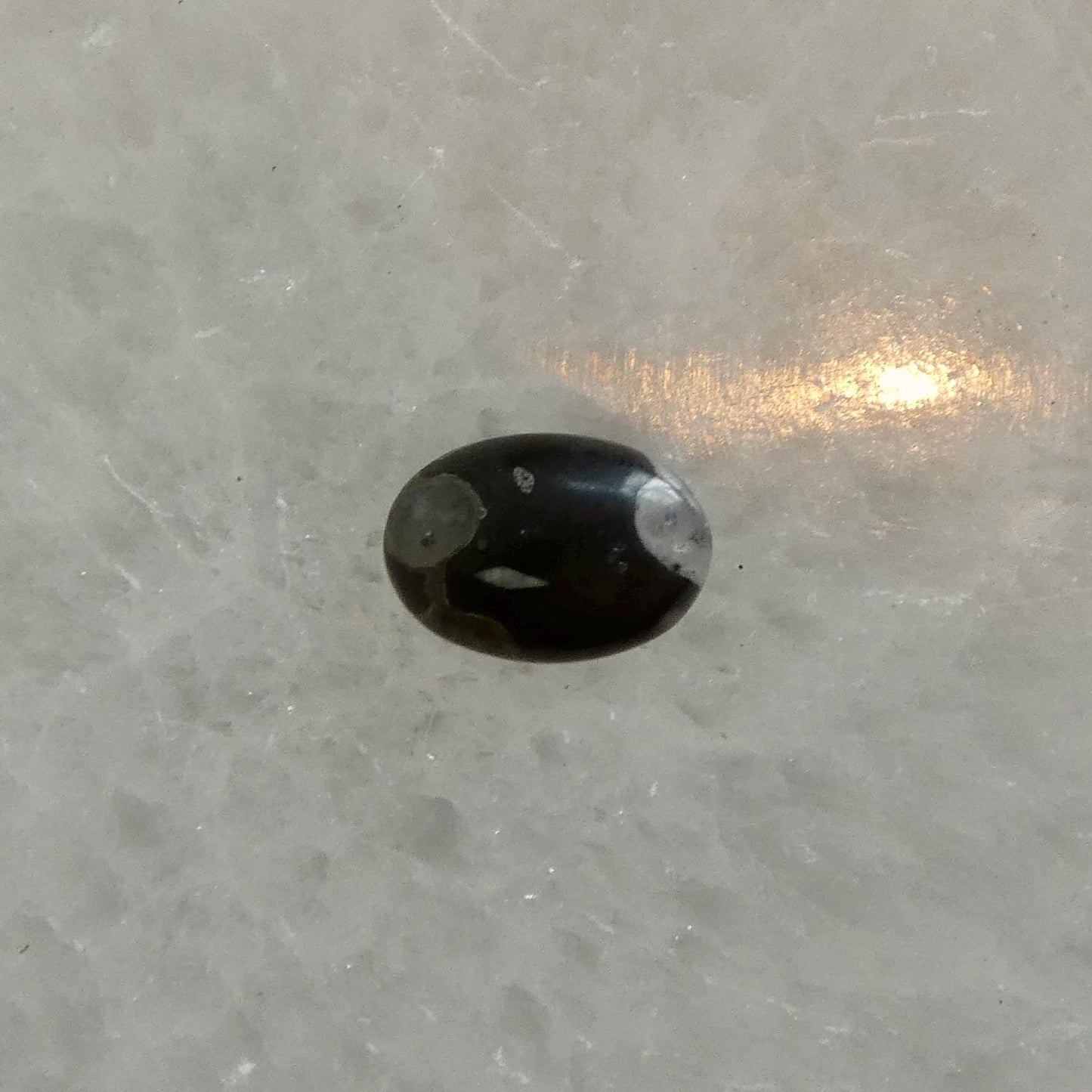 Sterling Silver Fossil Jasper Ring – East West Oval Stone