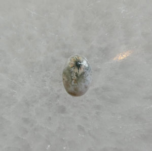Ocean Jasper Statement Ring – Sterling Silver, Choose Your Stone