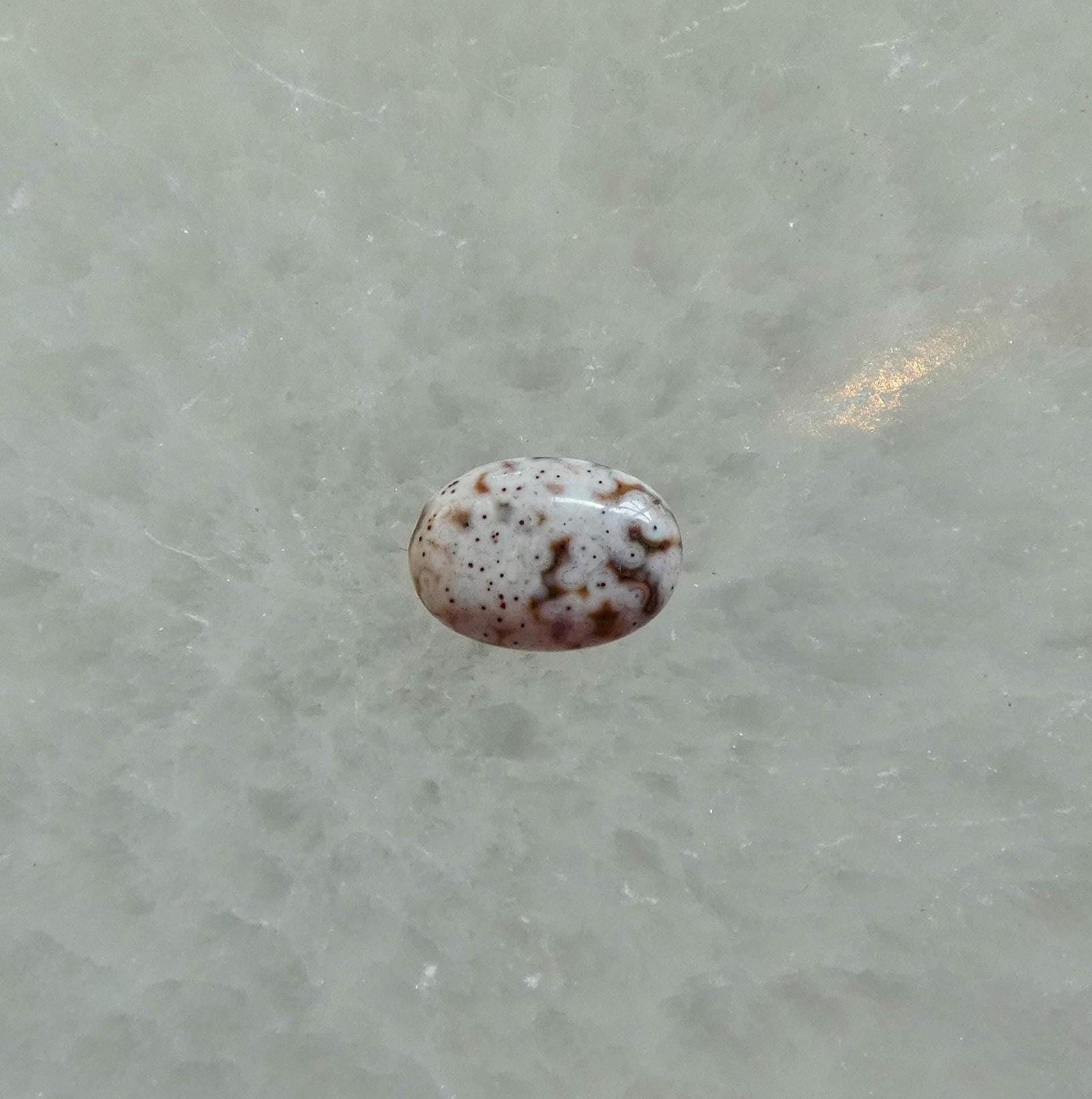 Custom Ocean Jasper Ring - East West Oval - Choose Your Stone