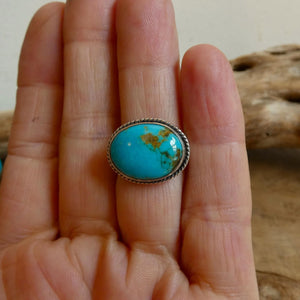 Choose your Piece - Campitos Turquoise East West Ring - American Turquoise