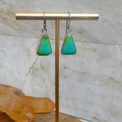 Sonoran Turquoise Drop Earrings | Sterling Silver | Choose Your Pair