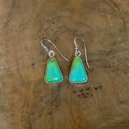 Sonoran Turquoise Drop Earrings | Sterling Silver | Choose Your Pair