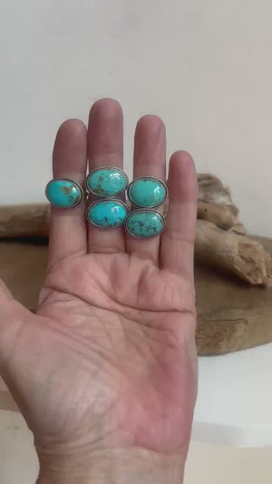 Choose your Piece - Campitos Turquoise East West Ring - American Turquoise