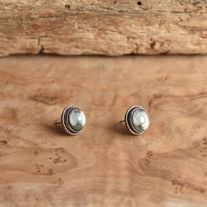 READY TO SHIP - Large Hammered Post Earrings - Abalone Studs - High Grade Abalone Earrings - Big Post Earrings