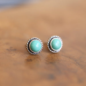 Turquoise Posts - Western Turquoise Studs - Robins Egg Blue Turquoise - Sterling Silver